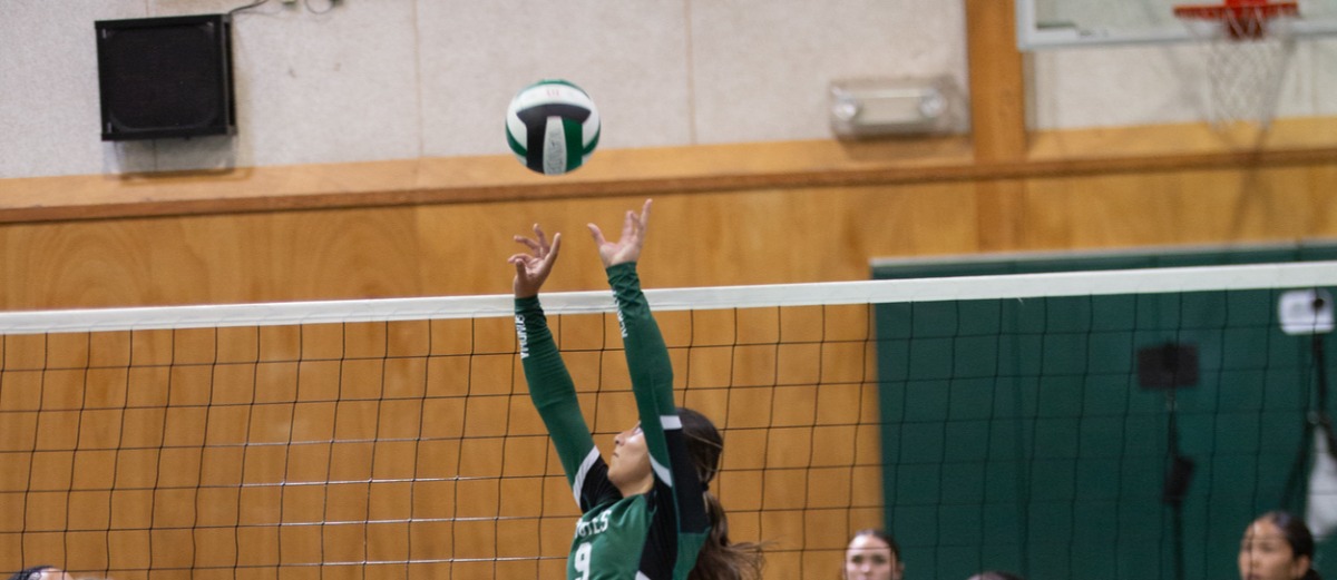 Rising Star: Stella Vega’s Journey to Volleyball Excellence