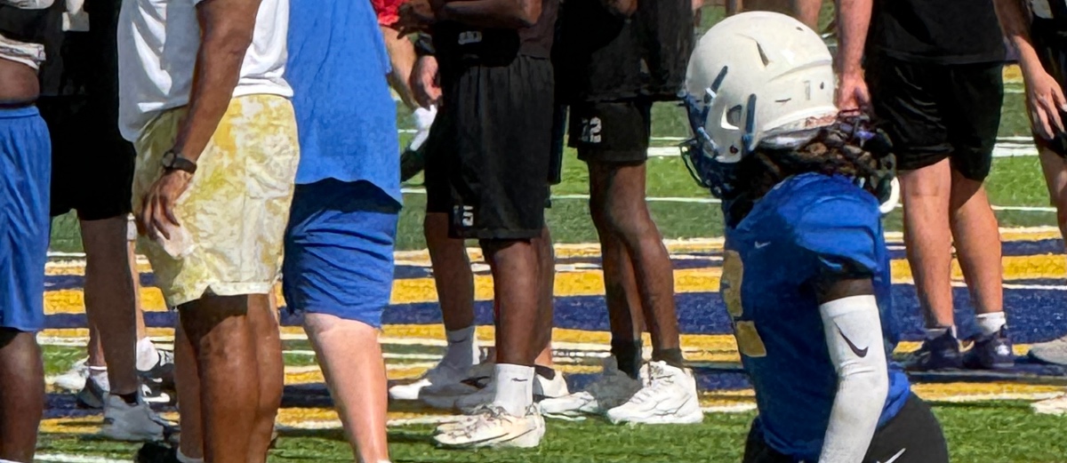 Rising Star: Riley Hamilton’s Journey on the Gridiron