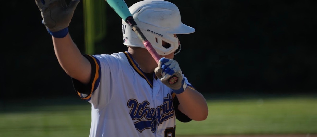 Rising Star: Ozzie Vagle's Journey Through Baseball