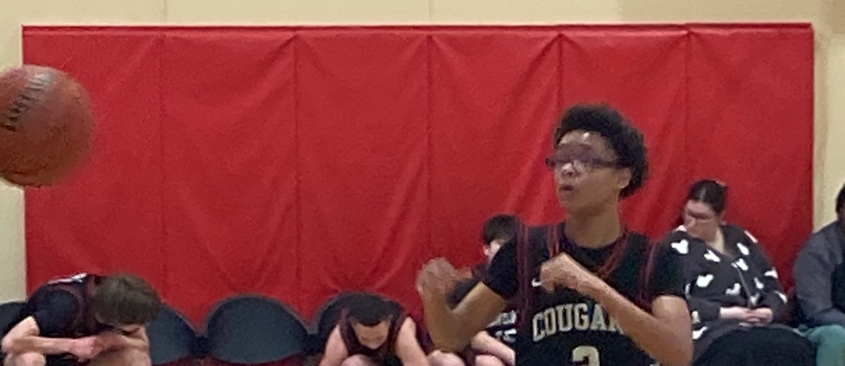 Rising Star: Vincent Wilson’s Journey on the Hardwood