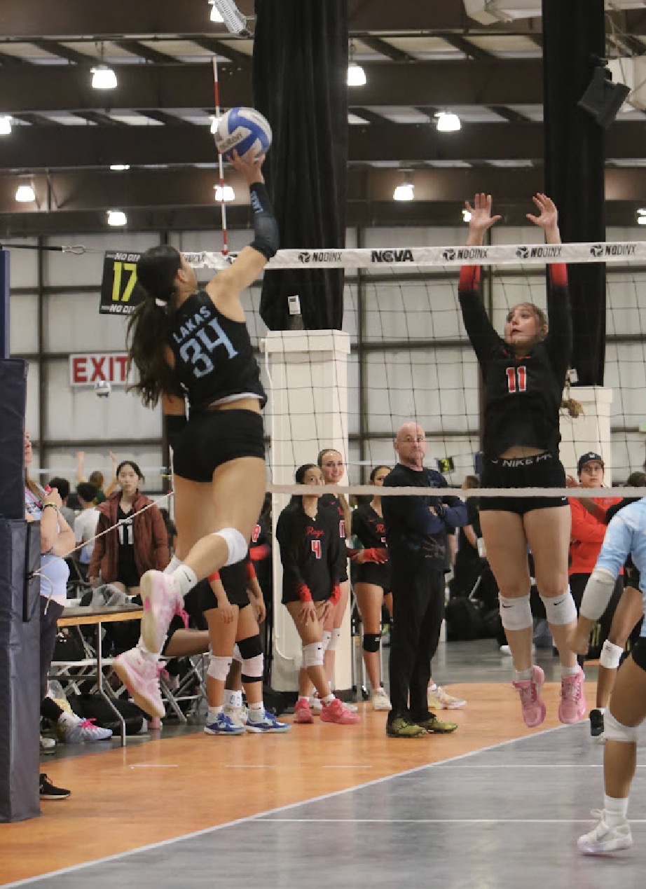Emma Dessus, Volleyball athlete profile picture