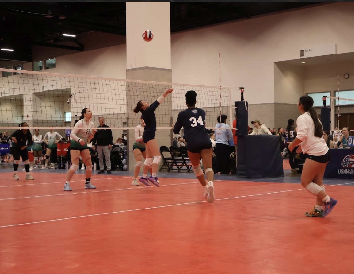 Rising Star of the Court: Brandy Buckley's Journey in Volleyball