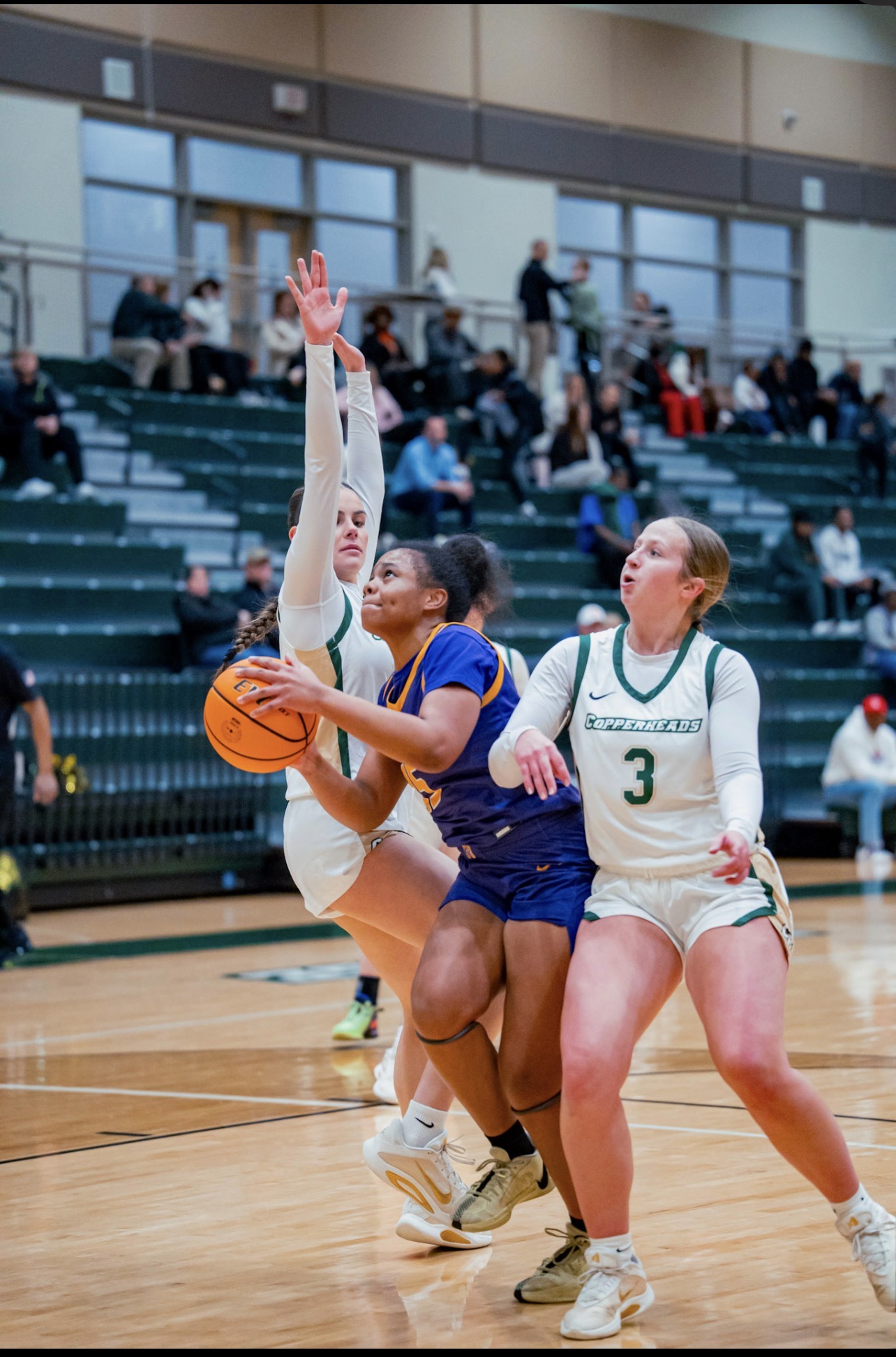 Joshalyn Colvin - Rising Star on the Court: The Inspiring Journey of Joshalyn Colvin
