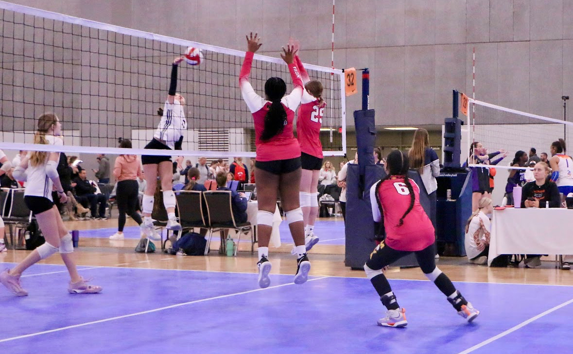 Ayla Erondu - Rising Star Ayla Erondu: A Volleyball Sensation in the Making