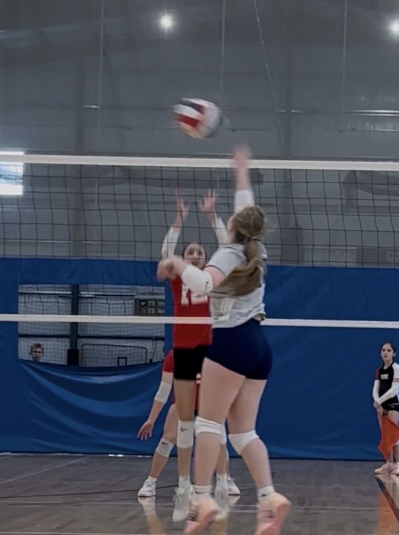 Olivia Bachmann, Volleyball athlete profile picture
