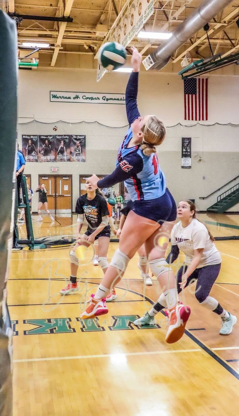 Karmyn Taylor profile photo