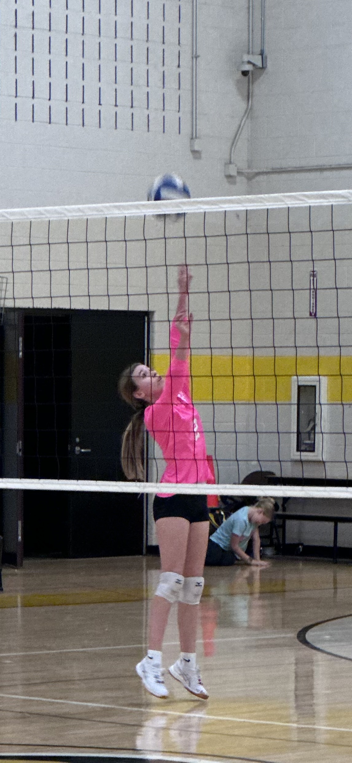 Shelby Chamness, volleyball athlete profile picture