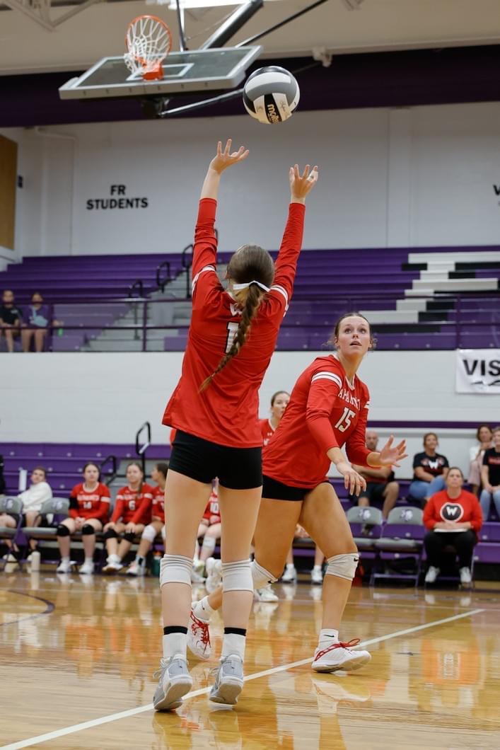 Alaina Custer, Volleyball athlete profile picture
