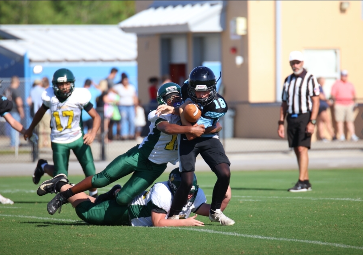 jakevion weaver