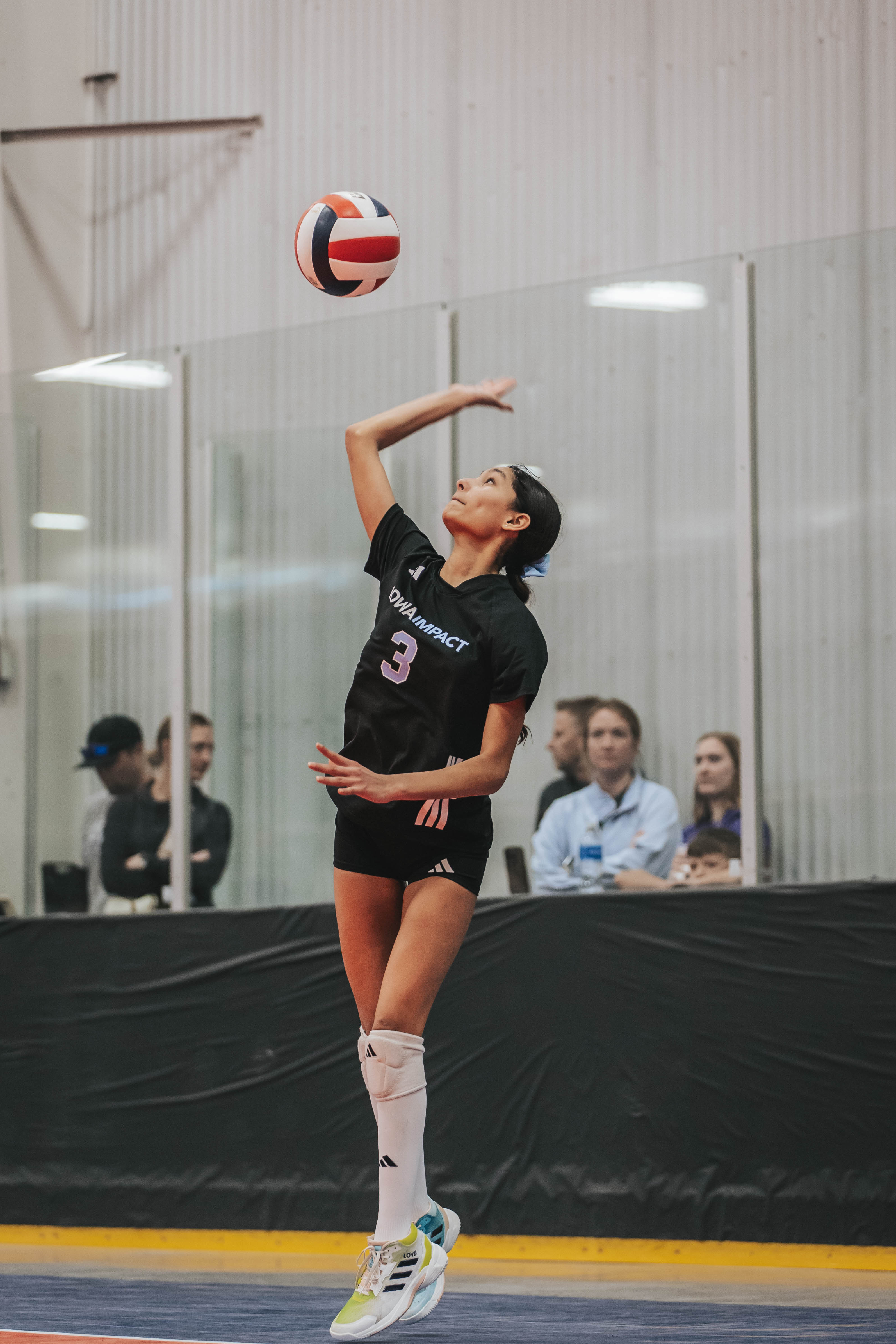Alayna Sheets, Volleyball athlete profile picture