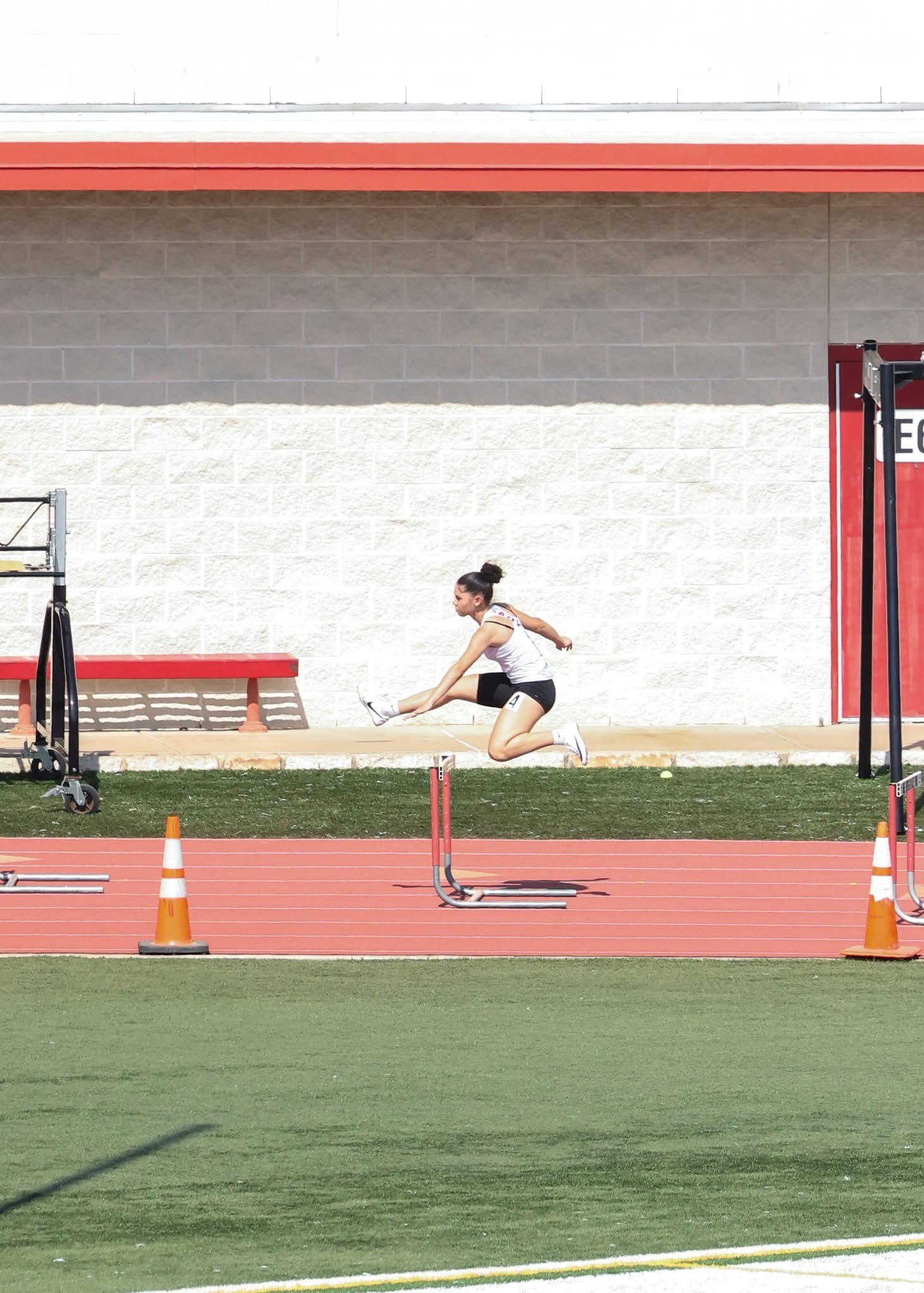 Saniya Huston