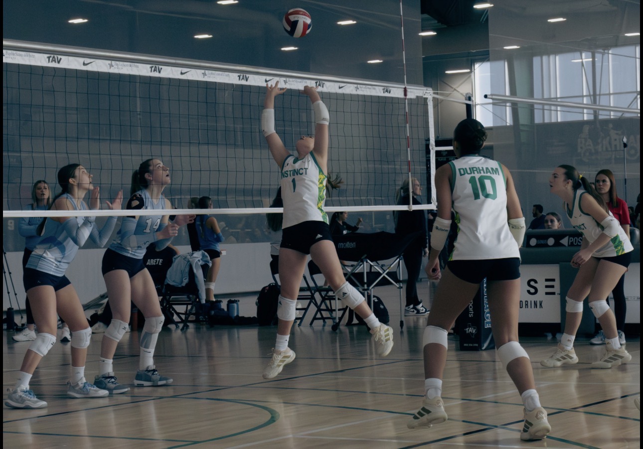 Harper Stout profile photo