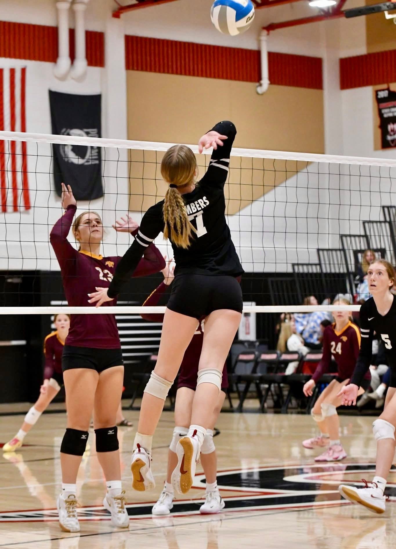 Lizzie Tipton, Volleyball athlete profile picture