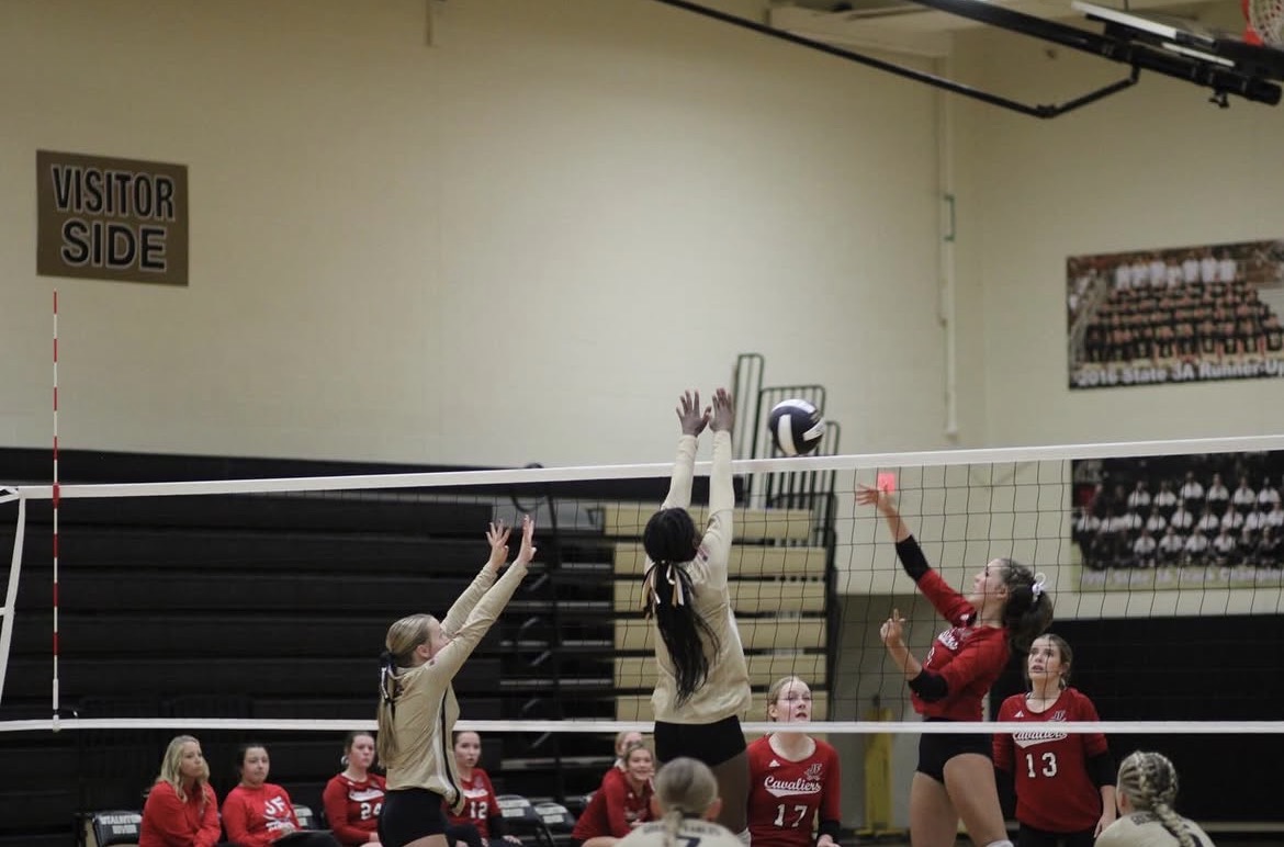 Eva Stokley, Volleyball athlete profile picture