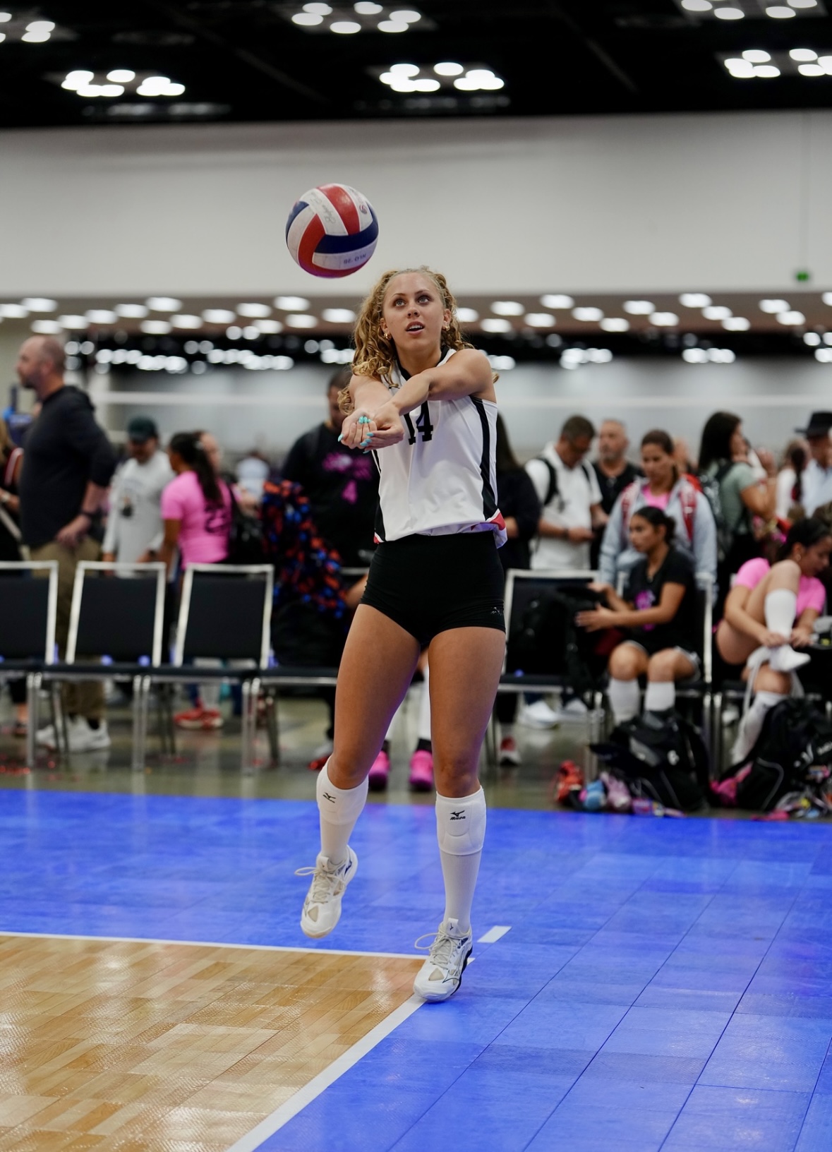 Avery Lane, Volleyball athlete profile picture